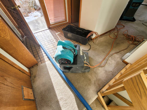 Best Water damage cleanup near me  in Brooksville, MS