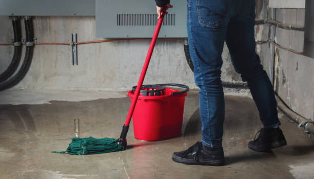 Best Emergency water damage restoration  in Brooksville, MS