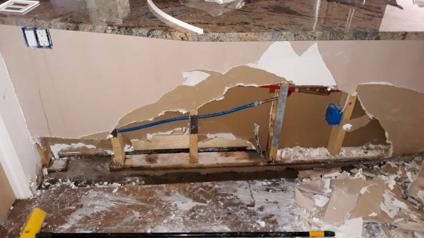 Best Professional water damage repair  in Brooksville, MS