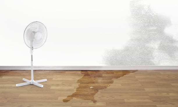 Best Commercial water damage restoration  in Brooksville, MS