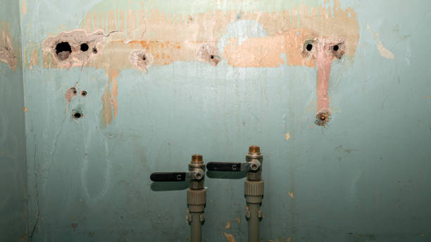 Best 24/7 water damage repair  in Brooksville, MS