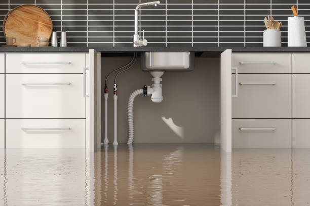 Best Residential water damage restoration  in Brooksville, MS